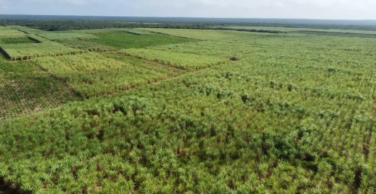 Fazenda em Pureza/RN